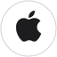 Apple Vision Pro
