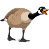 honker