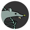 Rat