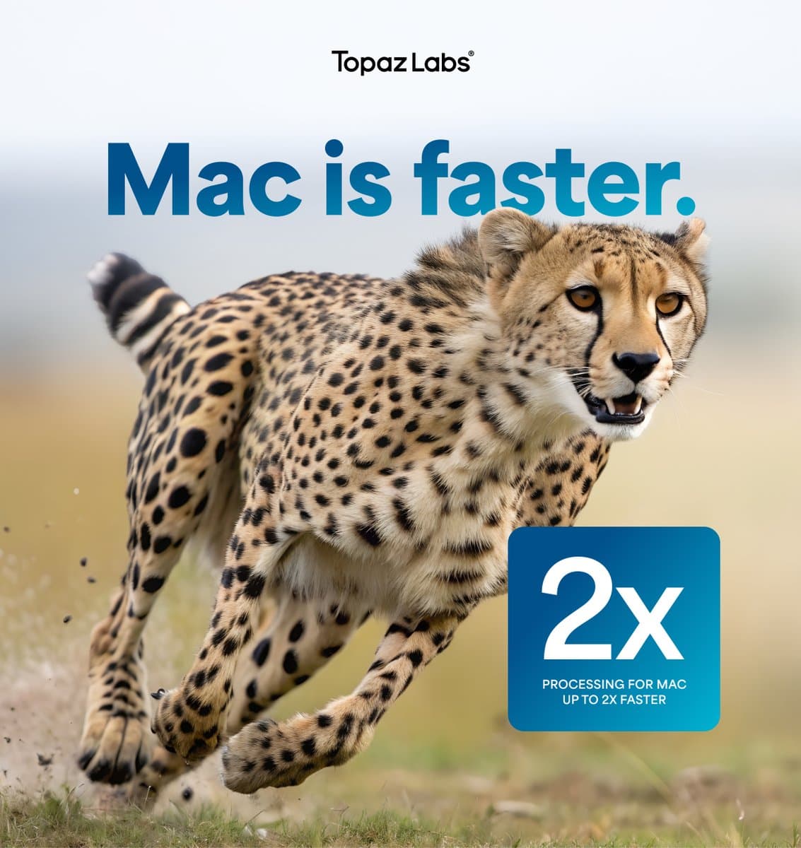 Topaz Labs releases 2x faster Mac image enhancement for Wonder, Denoise Max, and Super Focus 3